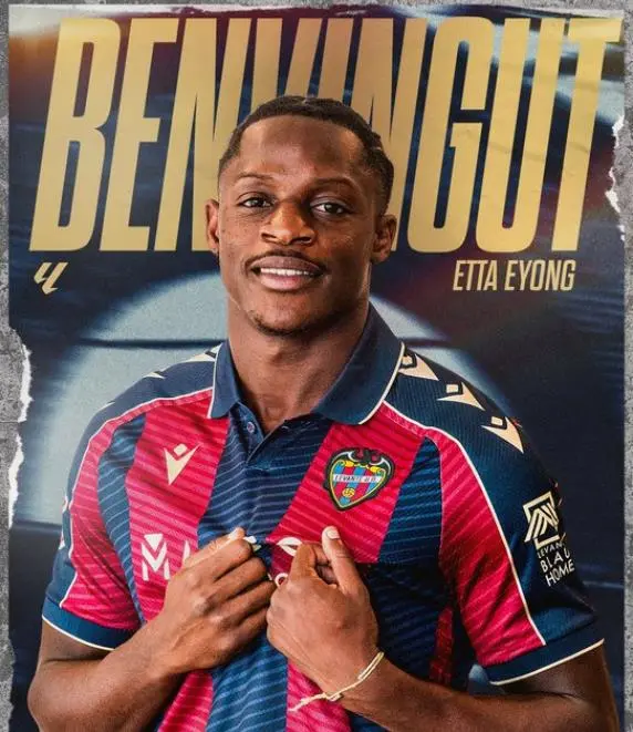 年从加的斯, msn 年从加的斯, msn