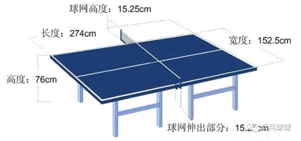 乓球非得蹲 乓球非得蹲